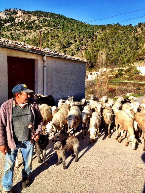 Casas Rurales Vegasierra Bogarra Exteriér fotografie