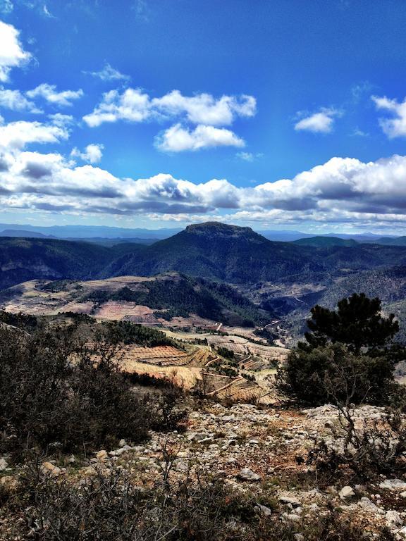 Casas Rurales Vegasierra Bogarra Exteriér fotografie